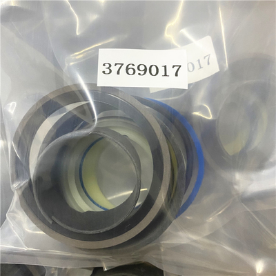 3769017 7X2825 3611131 3769011 Hydraulic Cylinder Seal Kits 3769018 120H