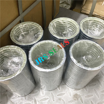 0960854 1661494 1661495 Dust Wiper Seals DLI DWI VAY DKBI PU