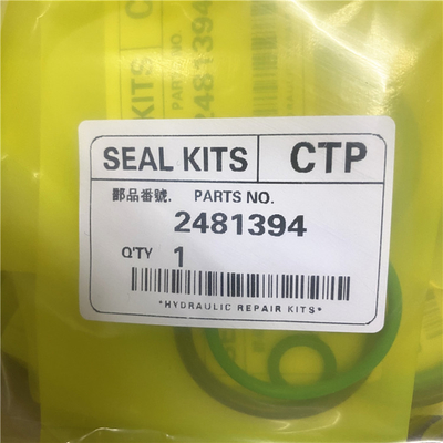 2481394 Injector Kit  Parts 3406E C15 ACERT Fuel Injector O Ring Kit