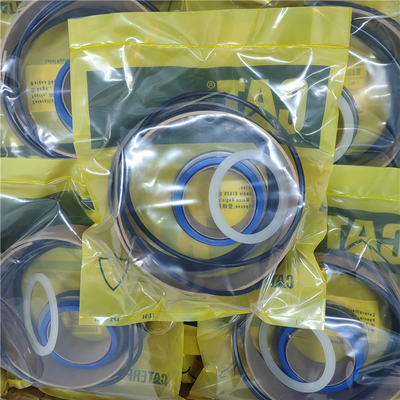 2442067 2456839 Hydraulic Cylinder Seal Kits 1309483  CATERPILLAR Steering Loader
