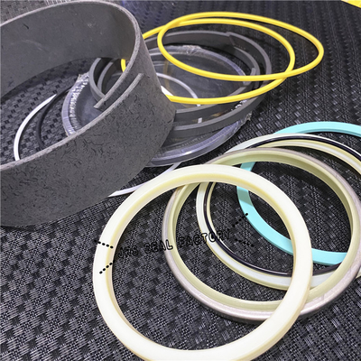 2478878 4560209 5185135 Hydraulic Cylinder Seal Kits for Excavator